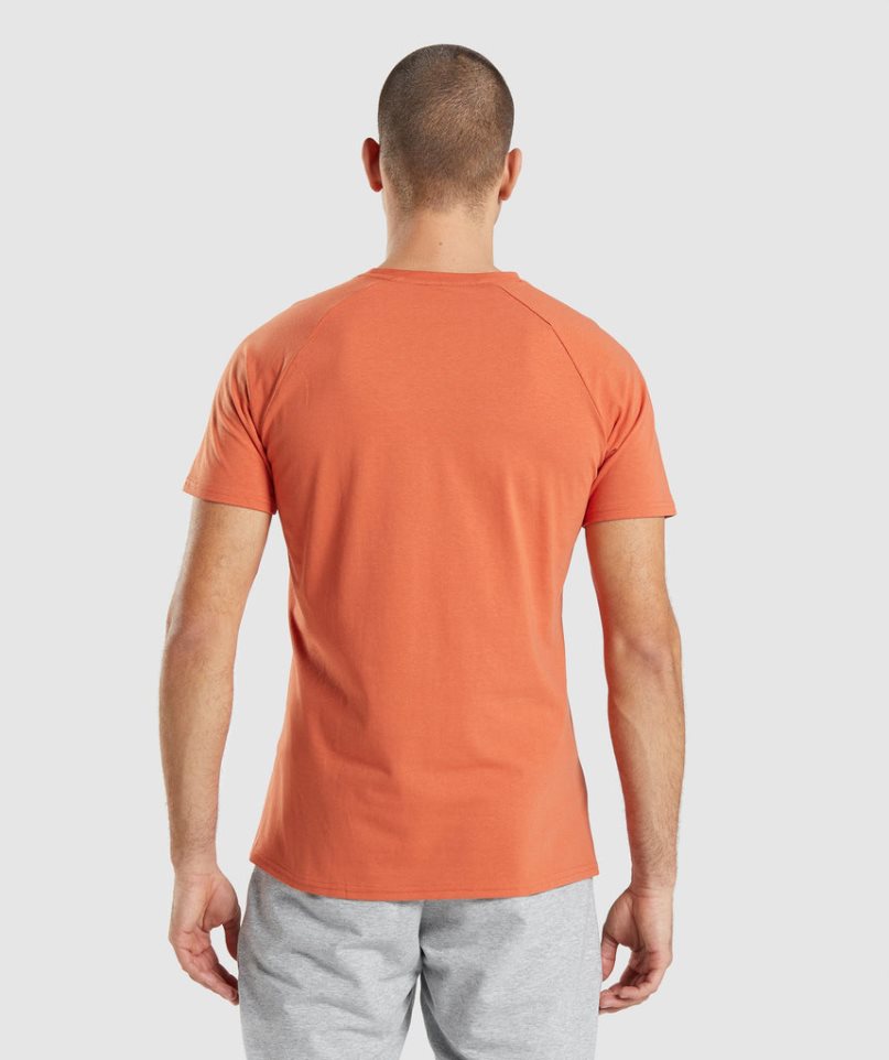 Men's Gymshark Critical T-Shirts Orange | CA A7083D